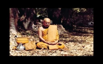 Hãy thực tập thiền định